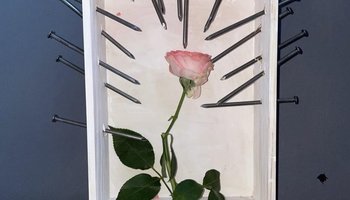 Выставка «Как я стала предательницей»