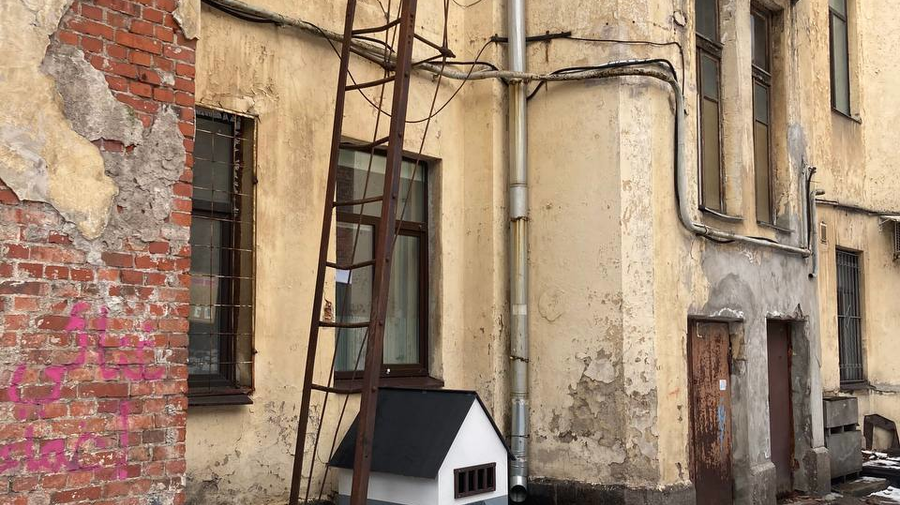 В Выборге появился дом для котов