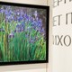 Выставка «Разговор цветами»