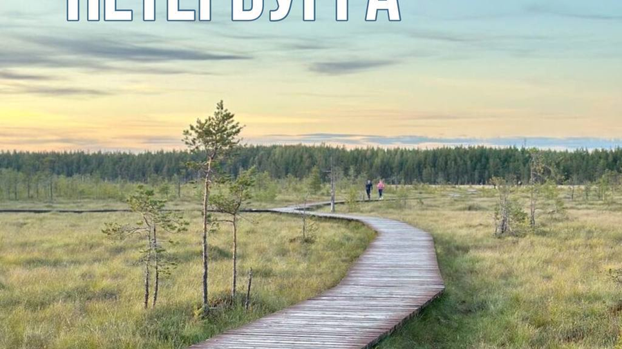 Какие экотропы в Петербурге стоит посетить в апреле?