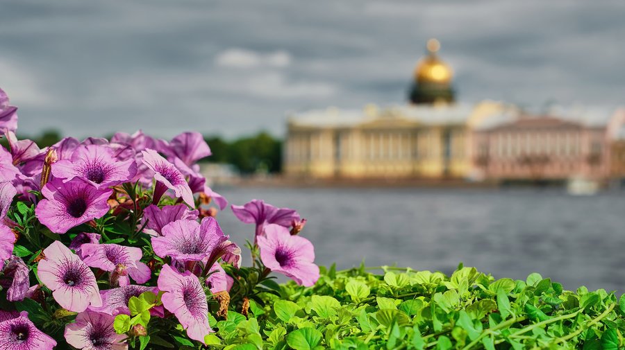 Большой ГИД по мероприятиям на майские праздники 2025