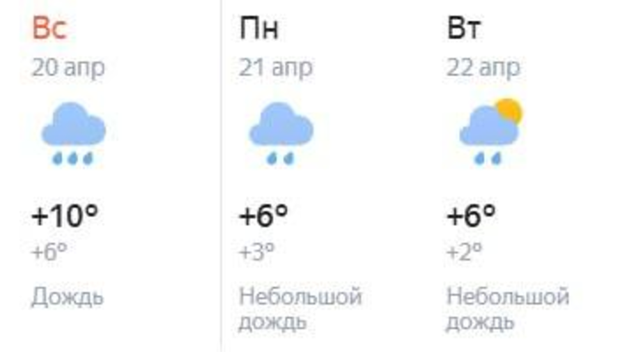 В выходные в Петербурге начнётся похолодание, — синоптики