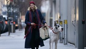 История о настоящей дружбе и преданности: экранизация мирового бестселлера «Верный друг»
