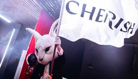 Киносвидание в караоке-ресторане CHERISH: уникальный формат развлечений