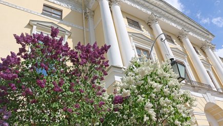 Праздник «Сиреневый променад» в Павловском парке — фото 3