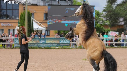 Лошадиный фестиваль «Иппосфера Openair» — фото 4