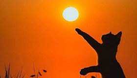 Сегодня день летнего солнцестояния