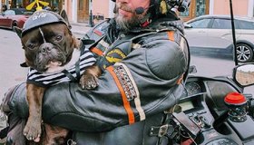 Четырехлапый Бароша сдал на права и стал водителем мотоцикла