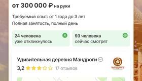 В Ленобласти ищут барина или барыню за 300 тысяч рублей в месяц.