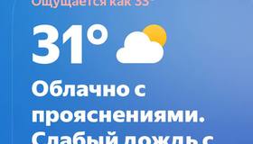 Петербург побил новый температурный рекорд с начала лета — +31 градуса.