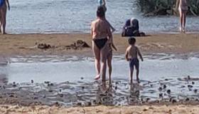 Вода прогрелась до +25 градусов у посёлка Лисий Нос, сообщил синоптик Александр Колесов.  
