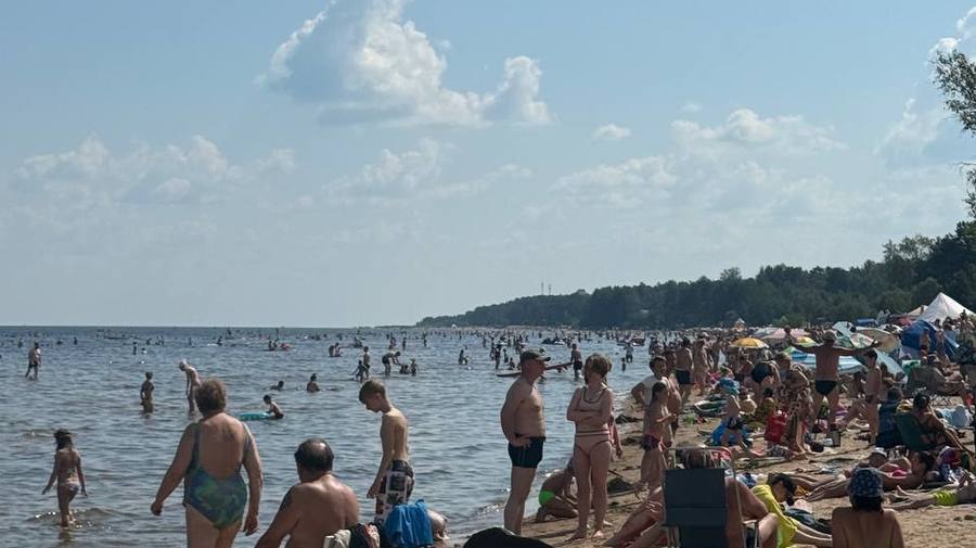 Петербуржцы оккупировали Ладожское озеро в Коккорево.