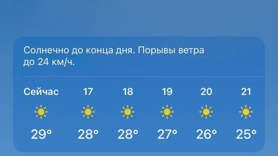 В Питере будет всю неделю жарче, чем на Бали.