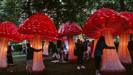 Фестиваль о мечтах DreamFest — фото 22