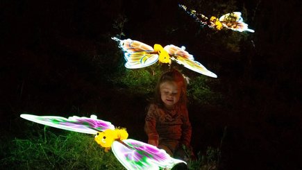 Фестиваль о мечтах DreamFest — фото 23