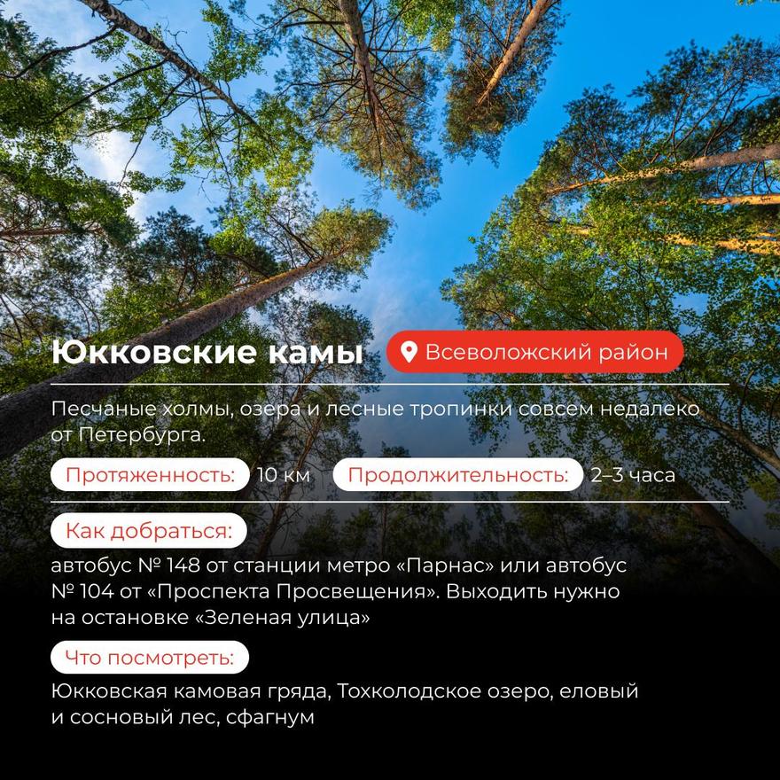 Идеи для прогулок в Ленобласти 