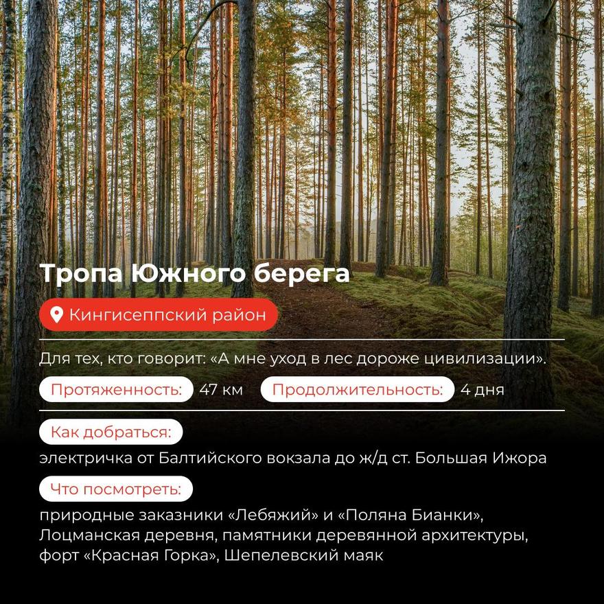 Идеи для прогулок в Ленобласти 