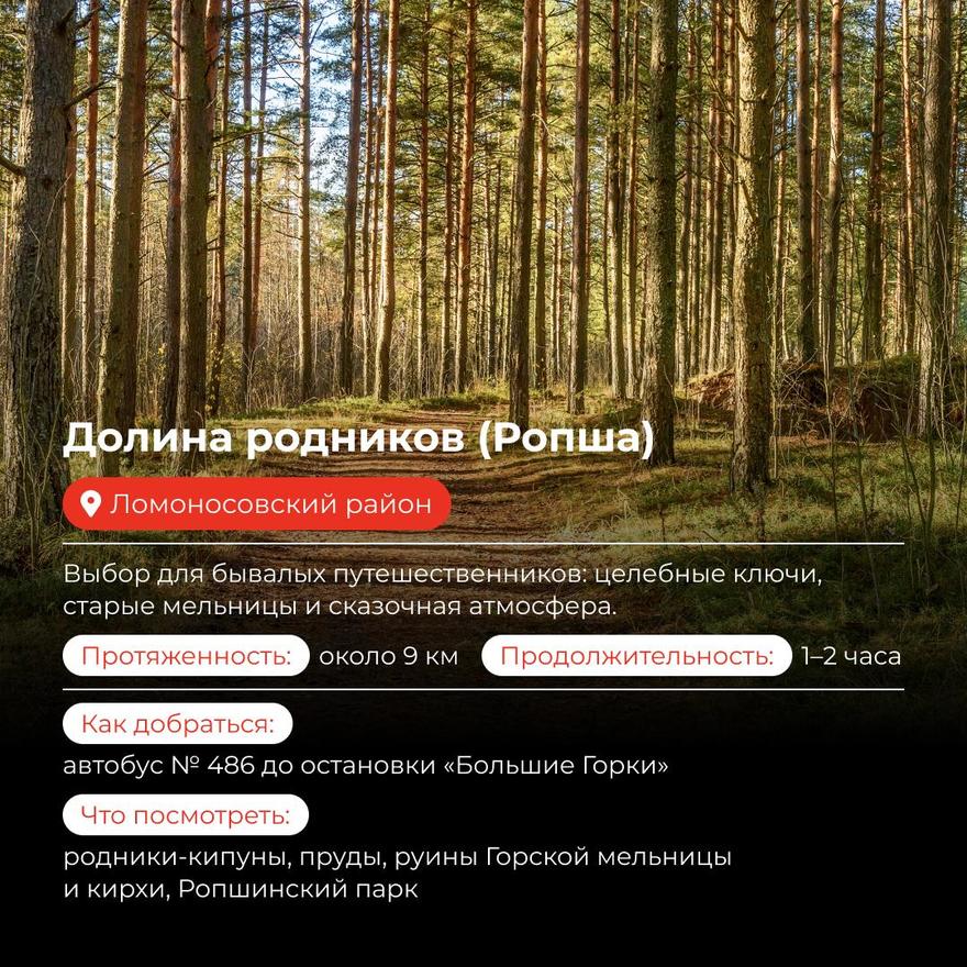 Идеи для прогулок в Ленобласти 