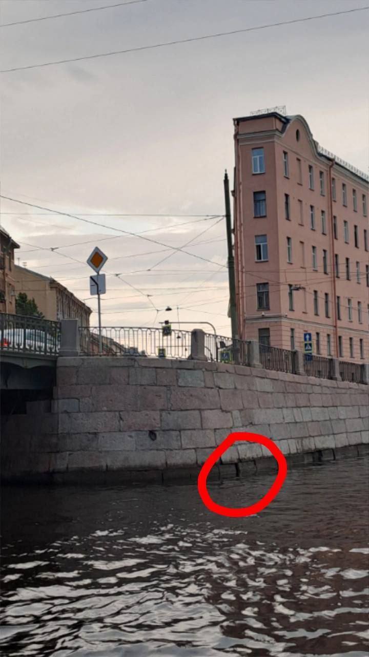 В Петербурге четвёртый день пытаются вытащить кота, застрявшего в облицовке набережной Фонтанки