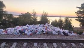 Мусор нашли на большинстве пляжей в Петербурге, сообщили в ГАТИ.