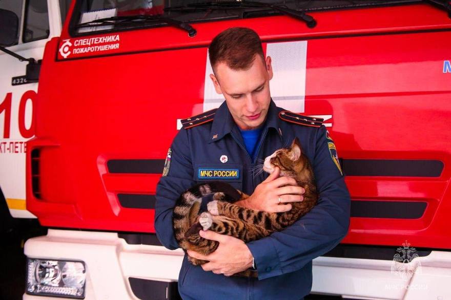 Кота Игоря показала команда 10-й пожарно-спасательной части МЧС Петербурга в честь Всемирного дня кошек