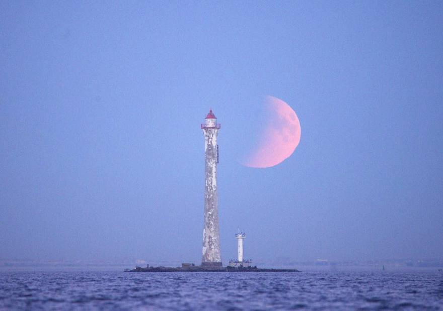 Лунное затмение в самом разгаре над Питером — прямо сейчас огромная Кровавая Луна восходит над городом.