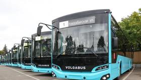 В Петербург прибыли 83 новых «лазурных» автобуса