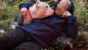 83-летняя женщина четыре дня блуждала в лесу под Выборгом