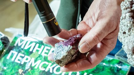 Семейный фестиваль минералов, окаменелостей и украшений Mineralfest — фото 3