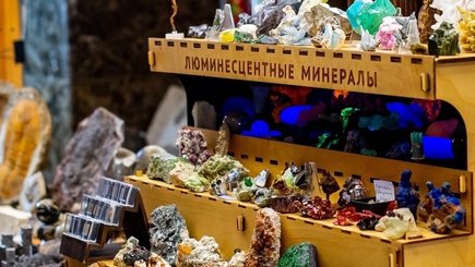 Семейный фестиваль минералов, окаменелостей и украшений Mineralfest — фото 11