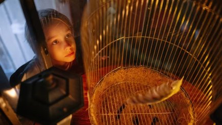 Осенние каникулы в музее Гарри Поттера — фото 4