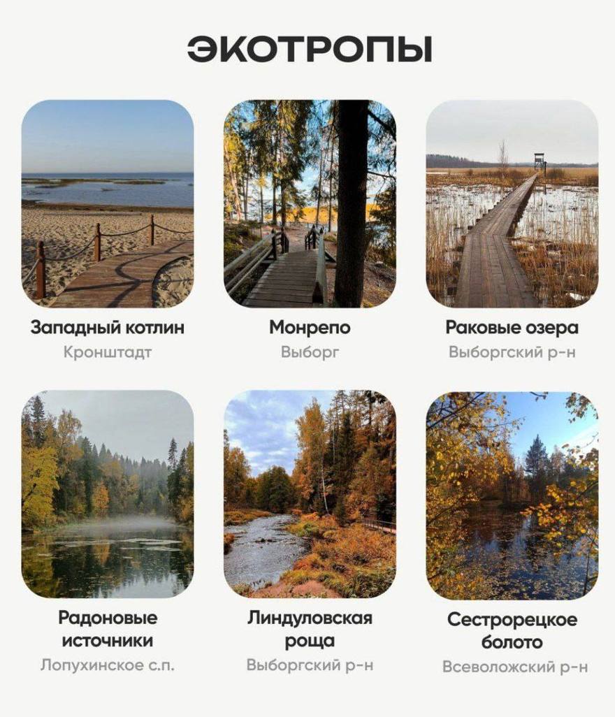 Подборка живописных мест для прогулок по осеннему Петербургу.