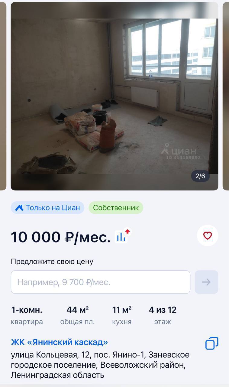 В Петербурге новый тренд: сдают пустые квартиры с голыми стенами и без сантехники