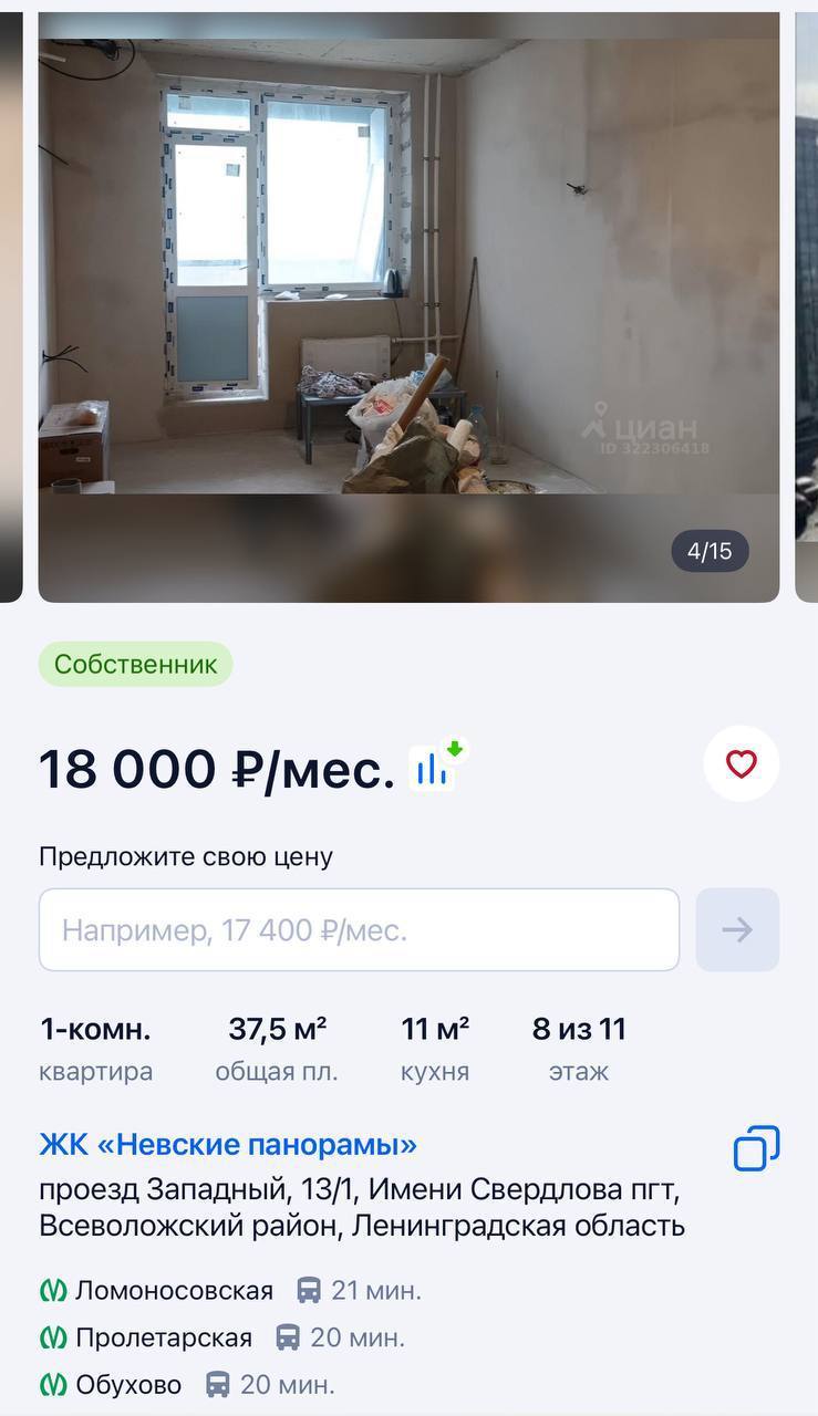 В Петербурге новый тренд: сдают пустые квартиры с голыми стенами и без сантехники