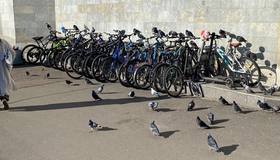 Голуби оккупировали велосипеды около метро в Кудрово.