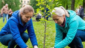 Сотня новых деревьев украсила Сампсониевский сад в Петербурге