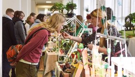 Flora Fest