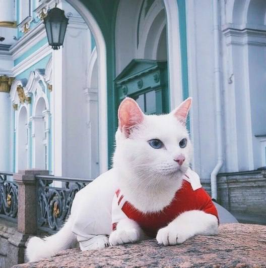 280 лет коты на службе у царей и музеев