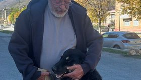 Актёр Андрей Ургант забрал к себе в Петербург бездомного пса из Северной Осетии