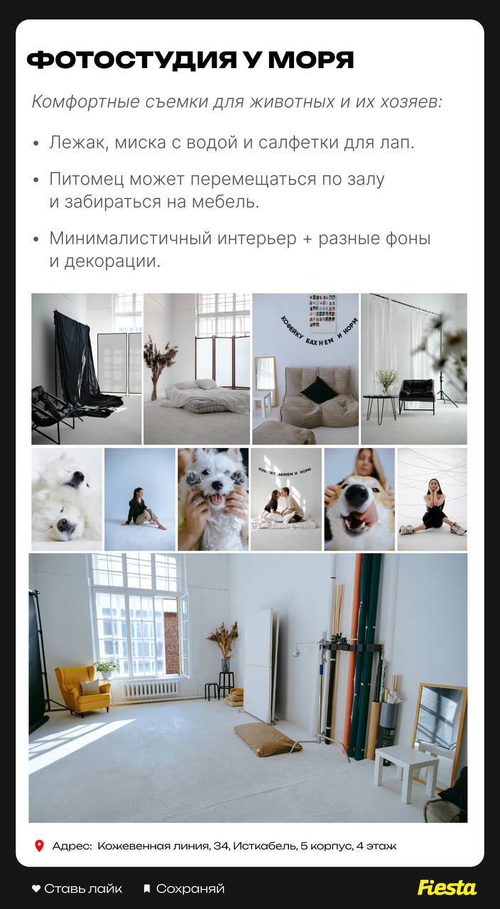 Топ-9 фотостудий в Севкабель порту: где-то можно снимать себя самостоятельно с помощью пульта, где-то – прийти с питомцем.