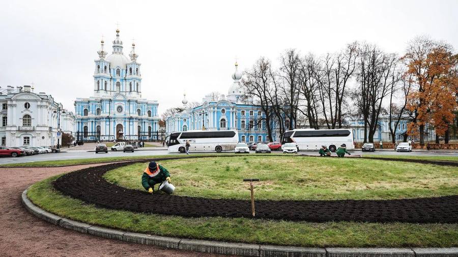 300 тысяч луковиц тюльпанов и высадили к весеннему сезону в Петербурге.