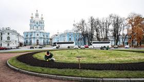 300 тысяч луковиц тюльпанов и высадили к весеннему сезону в Петербурге.