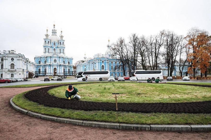 300 тысяч луковиц тюльпанов и высадили к весеннему сезону в Петербурге.