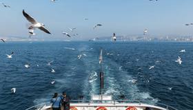 Между Сочи и Турцией впервые за 14 лет снова пойдёт паром