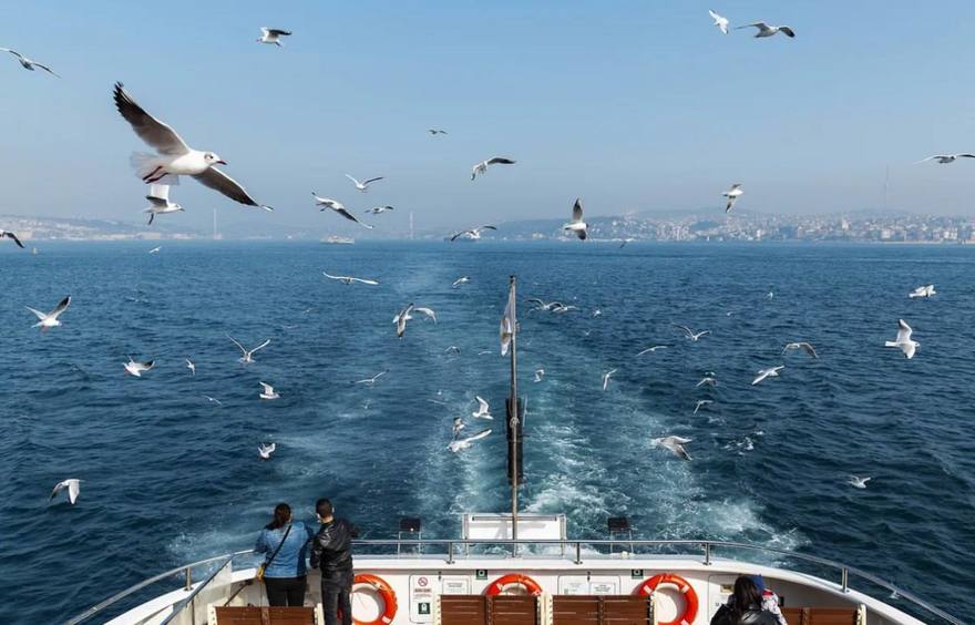 Между Сочи и Турцией впервые за 14 лет снова пойдёт паром