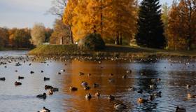 Длинные выходные в Петербурге будут тёплыми, говорят синоптики