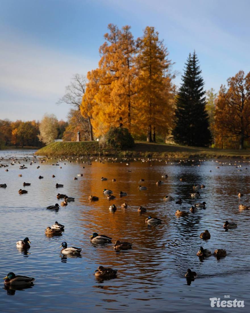 Длинные выходные в Петербурге будут тёплыми, говорят синоптики