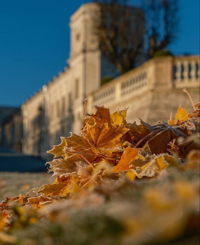 Вход в Дворцовый парк Гатчины стал свободным с сегодняшнего дня.