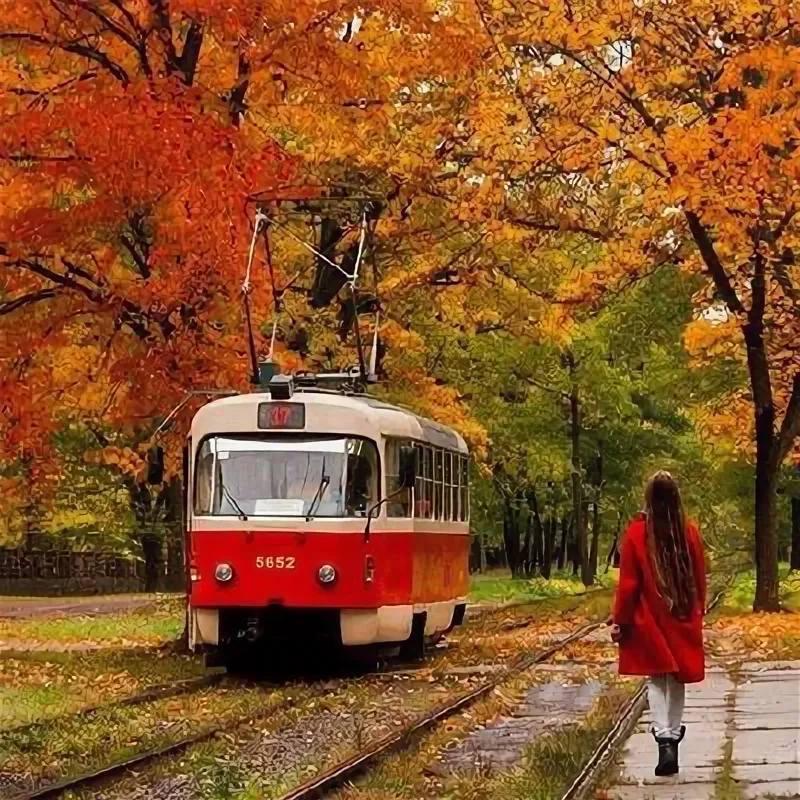 Обзорная экскурсия по Санкт-Петербургу стоимостью, как проезд на трамвае