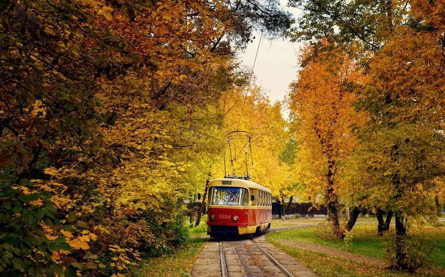 Обзорная экскурсия по Санкт-Петербургу стоимостью, как проезд на трамвае